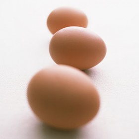 sp-egg